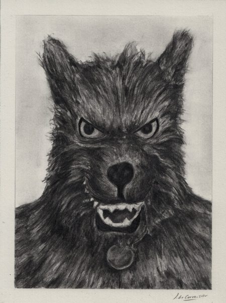 LE LOUP GAROU DE SOCHAUX