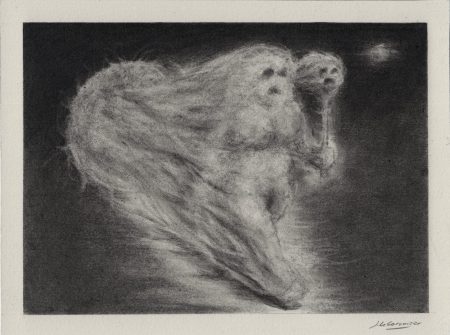 LA DEESSE DU FEU